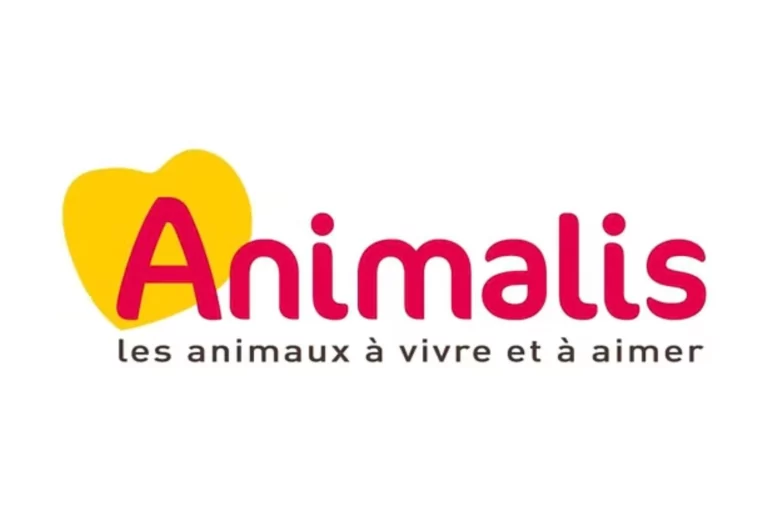 Les avantages d’adopter un animal adulte