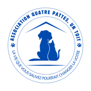 [4P1T] Site internet - Logo - Quatre pattes un toit
