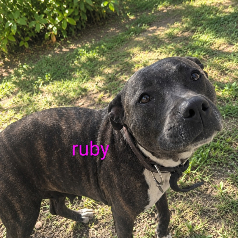 Ruby