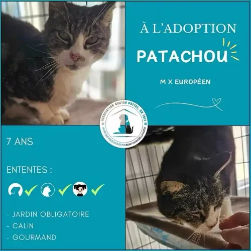 Patachou Patachou